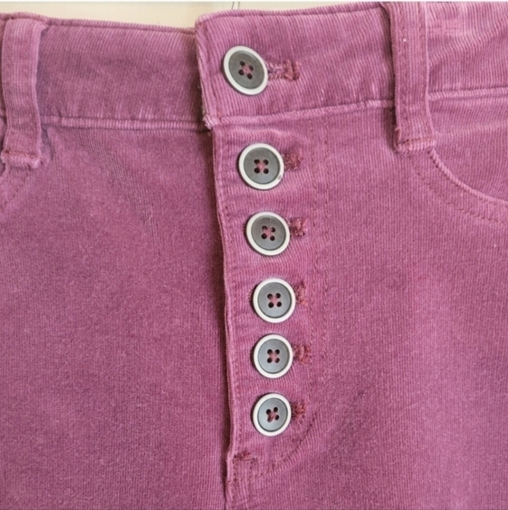 Anthropologie Pilcro and the letterpress High-Rise Skinny Ankle Courdory Pants - Picture 7 of 11